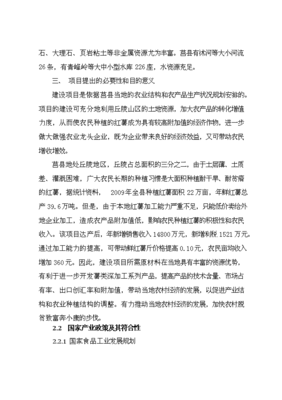 淀粉制品加工项目可行性计划书.doc