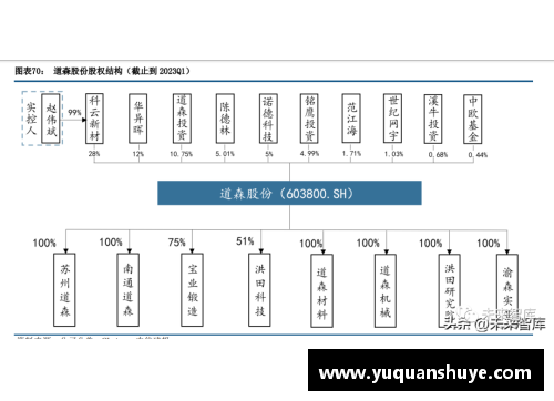 三分彩复合集流体行业专题报告：进入加速落地阶段，设备最受益